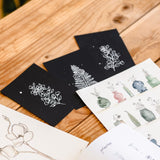 botanical line drawing by peggy dean