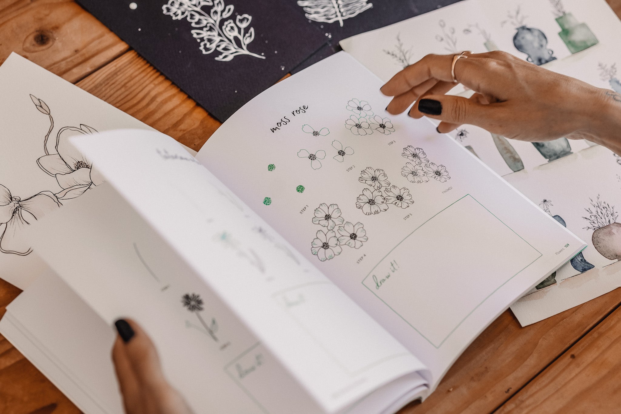 botanical line drawing book