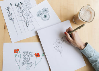 botanical line drawing book