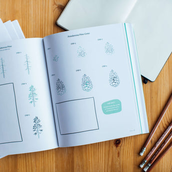 pacific northwest line drawing book