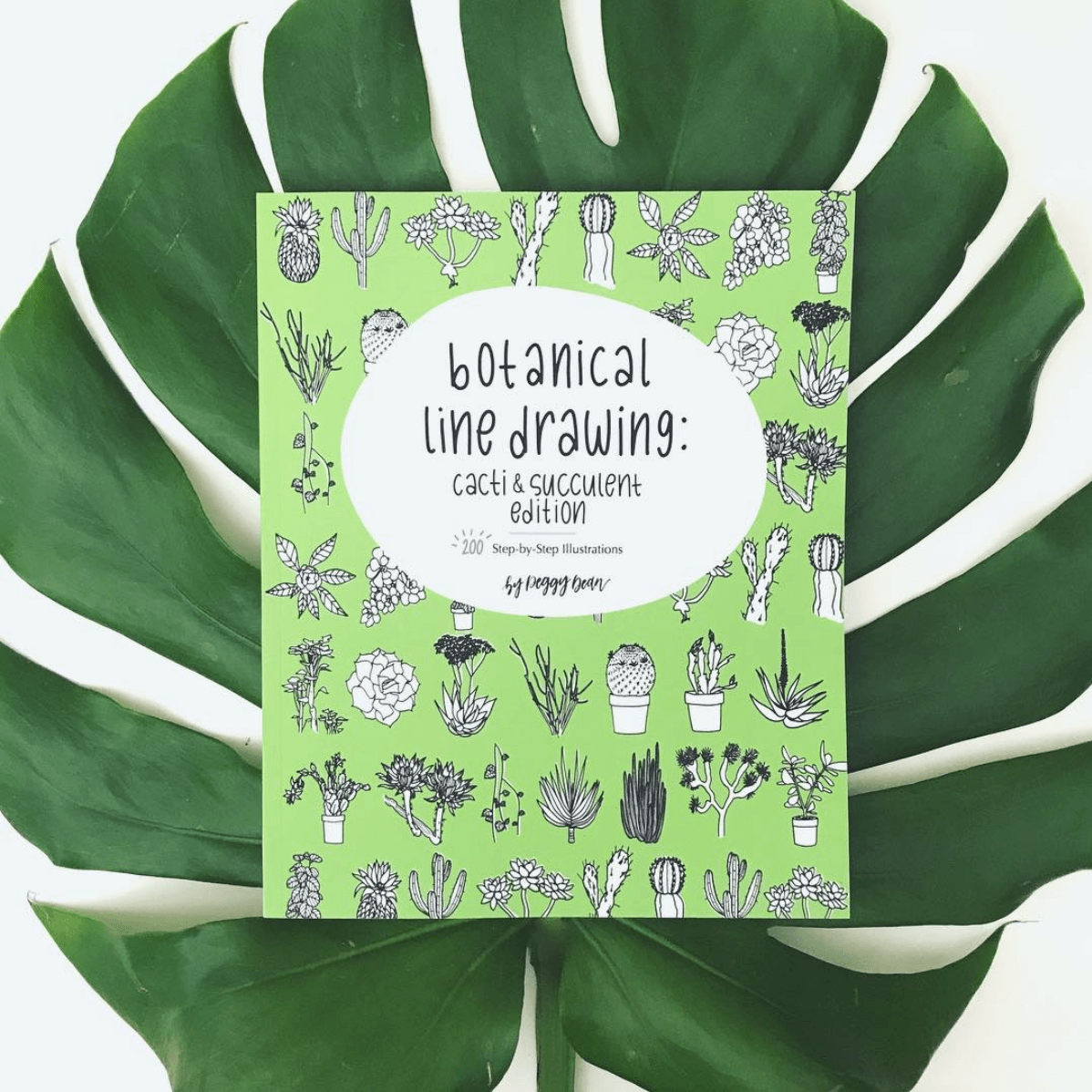 step by step succulent drawing Botanical Line Drawing: Cacti & Succulents