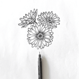 Sunflower line art drawing
