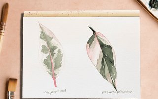 How to paint a plant portrait