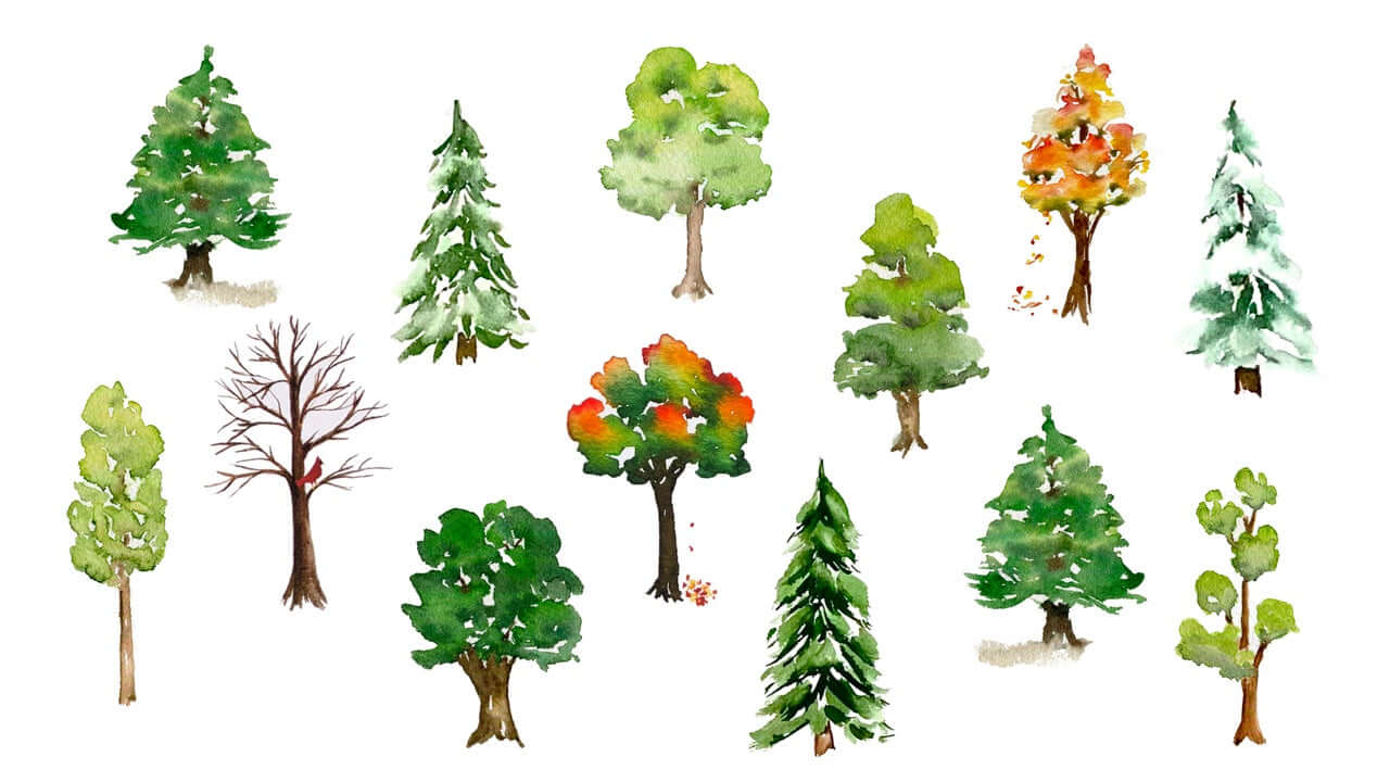 How to paint watercolor trees