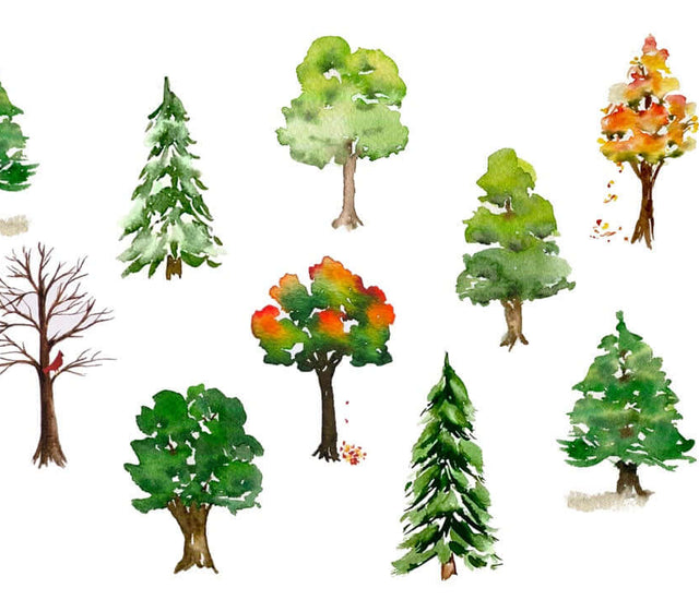 How to Paint Watercolor Trees