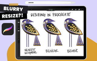 How to Resize in Procreate Without Getting Blurry