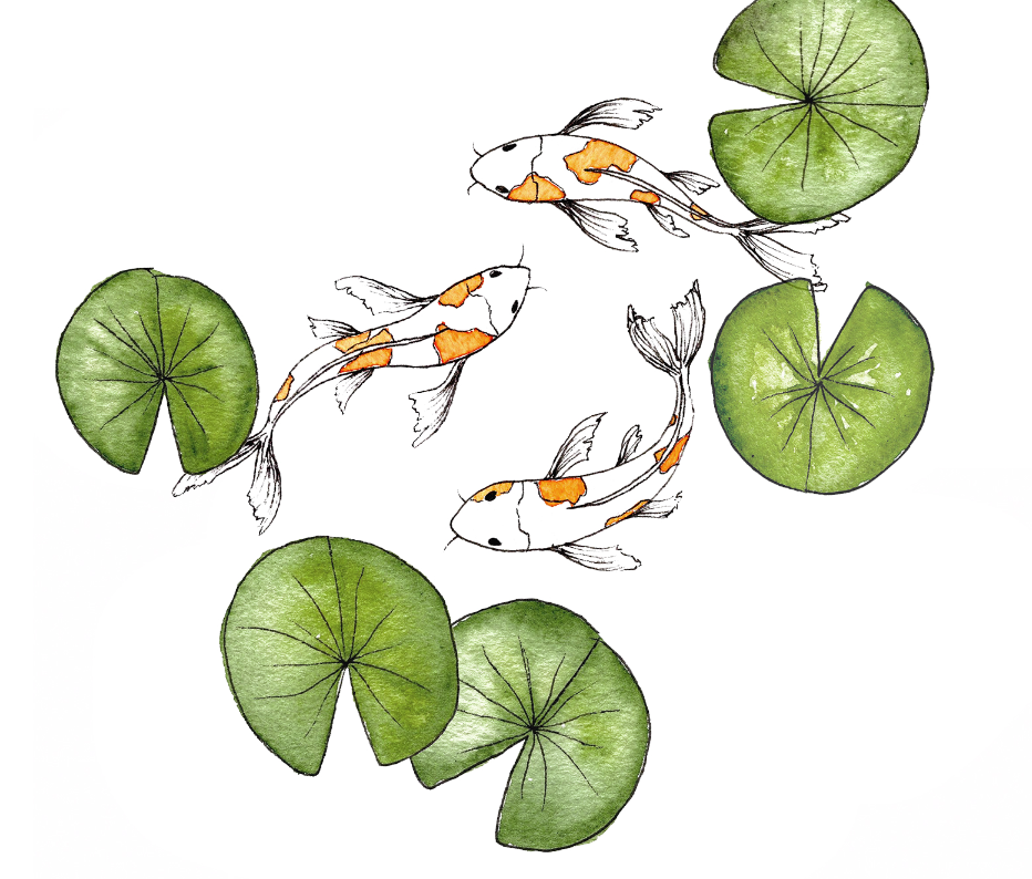 How to Draw Koi Fish: A Step-by-step Guide – The Pigeon Letters