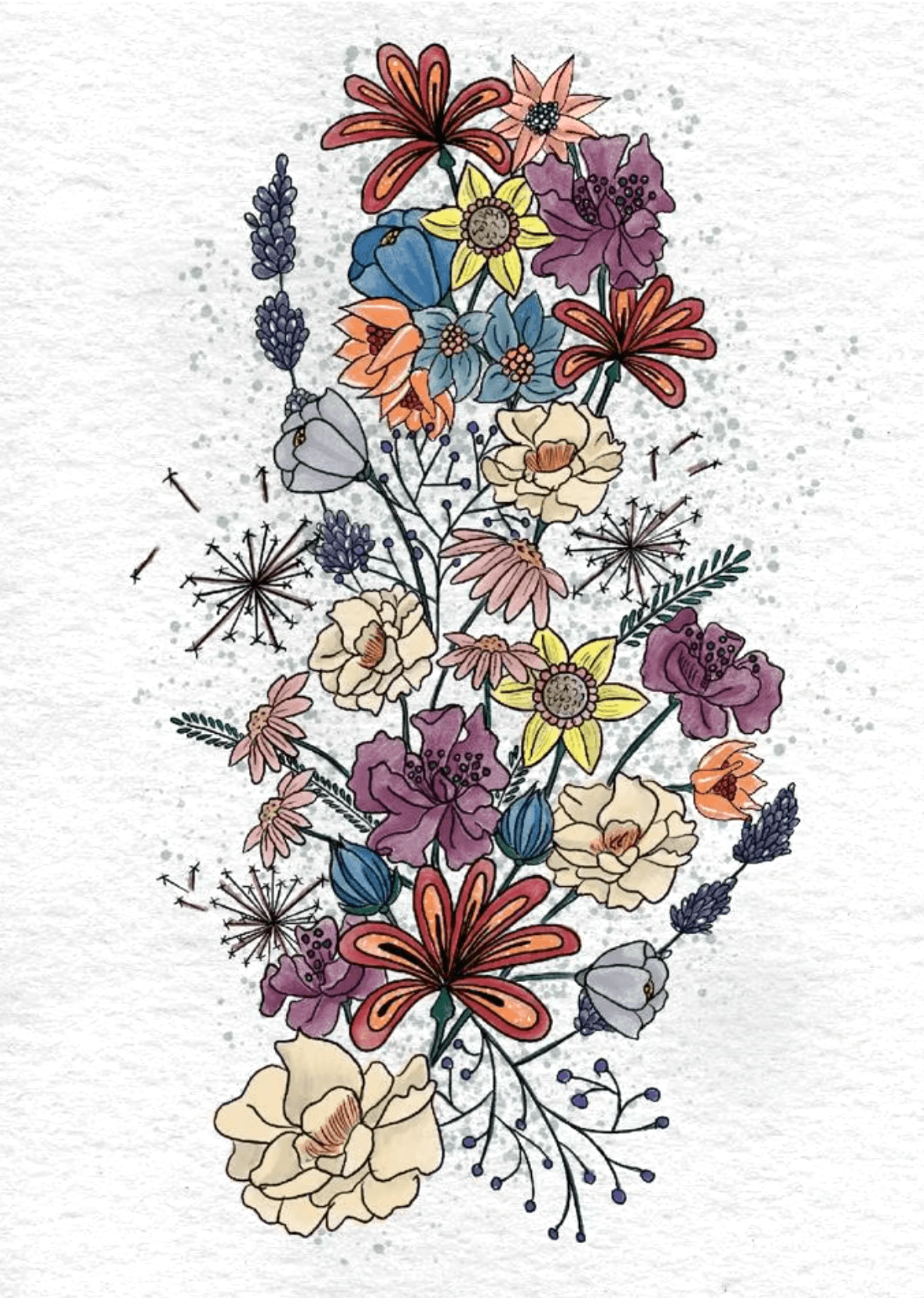 botanical line drawing