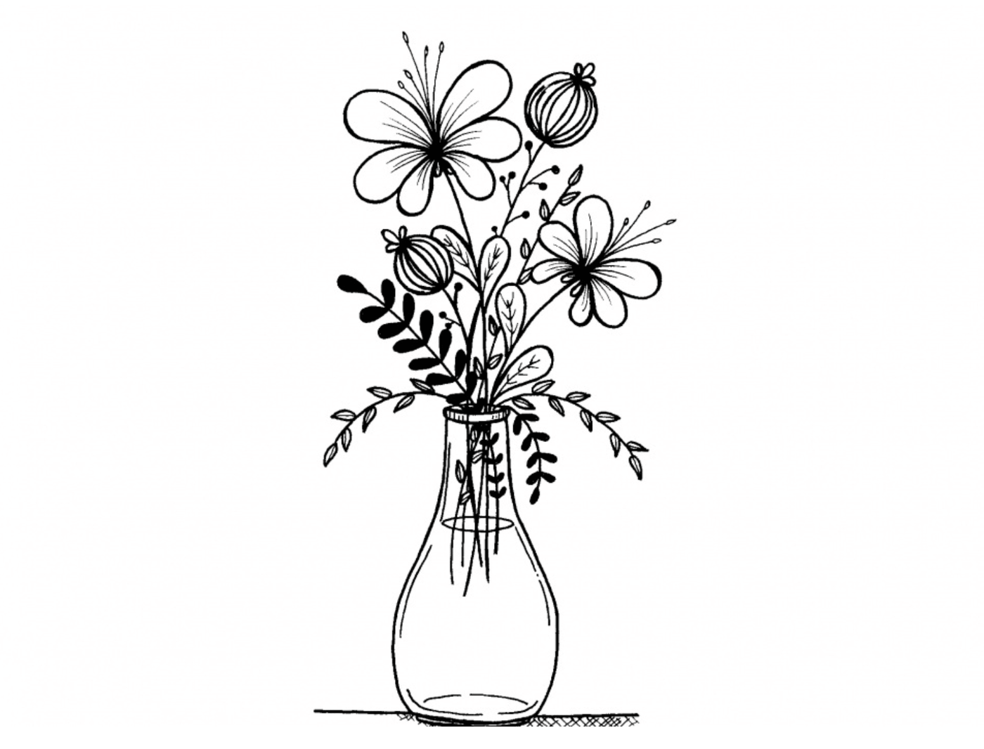 botanical line drawing