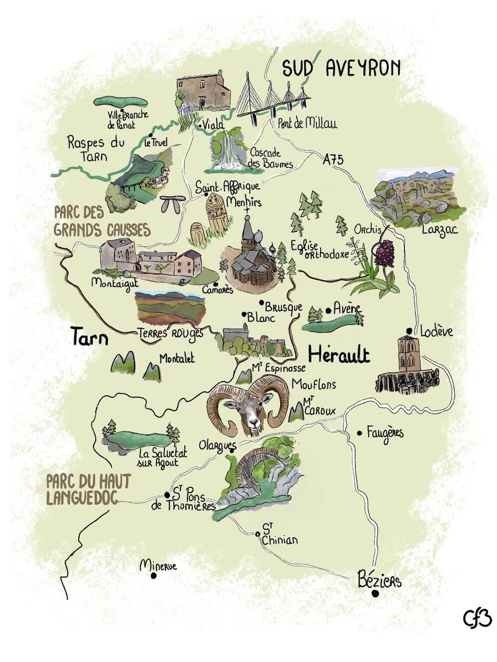 procreate map illustration