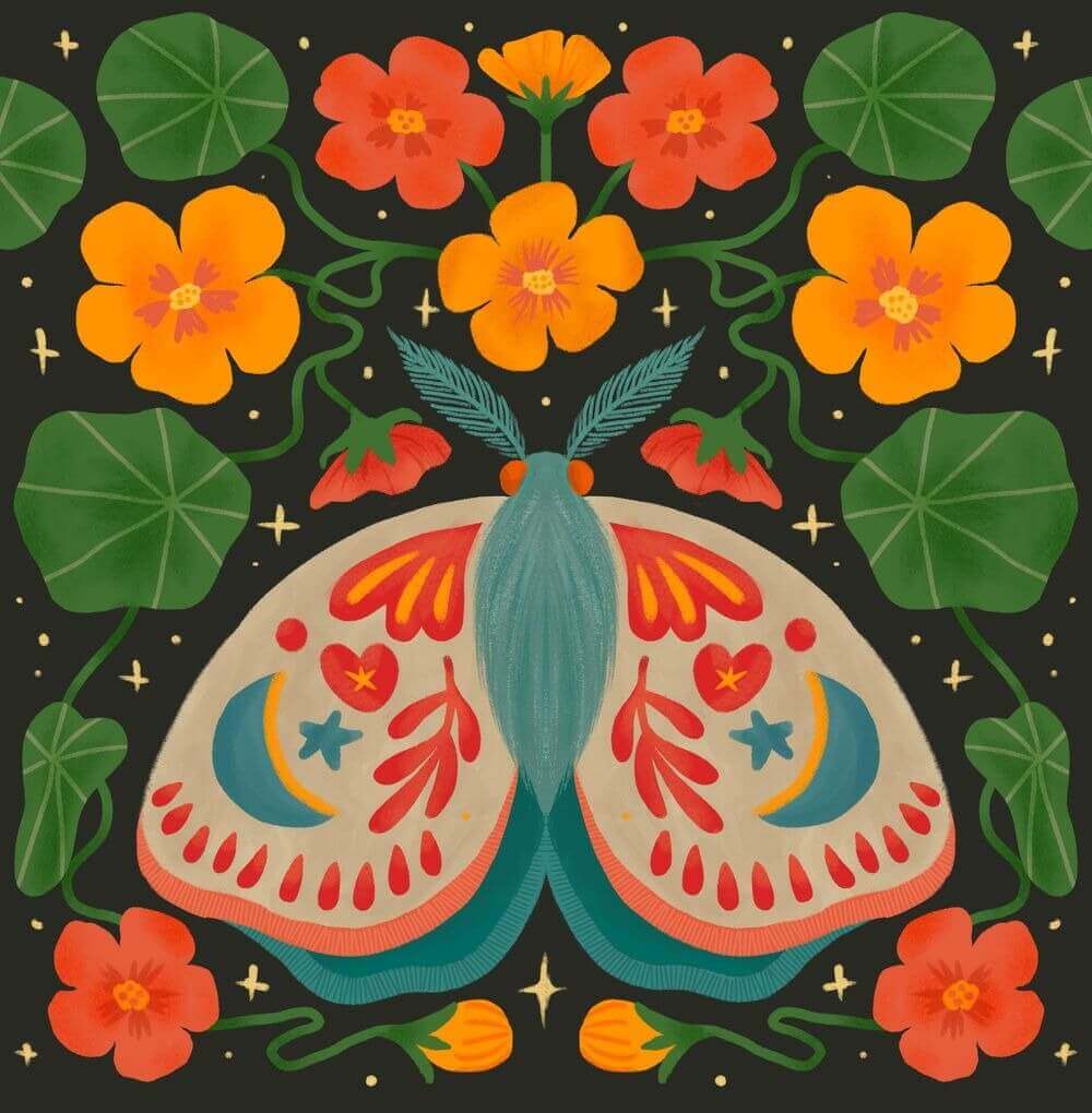 procreate color palettes