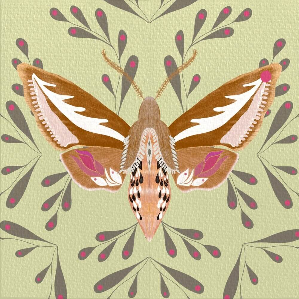 procreate color palettes floral illustration