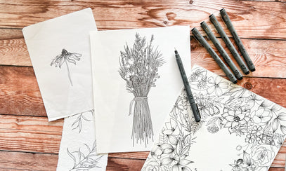 botanical line drawing peggy dean