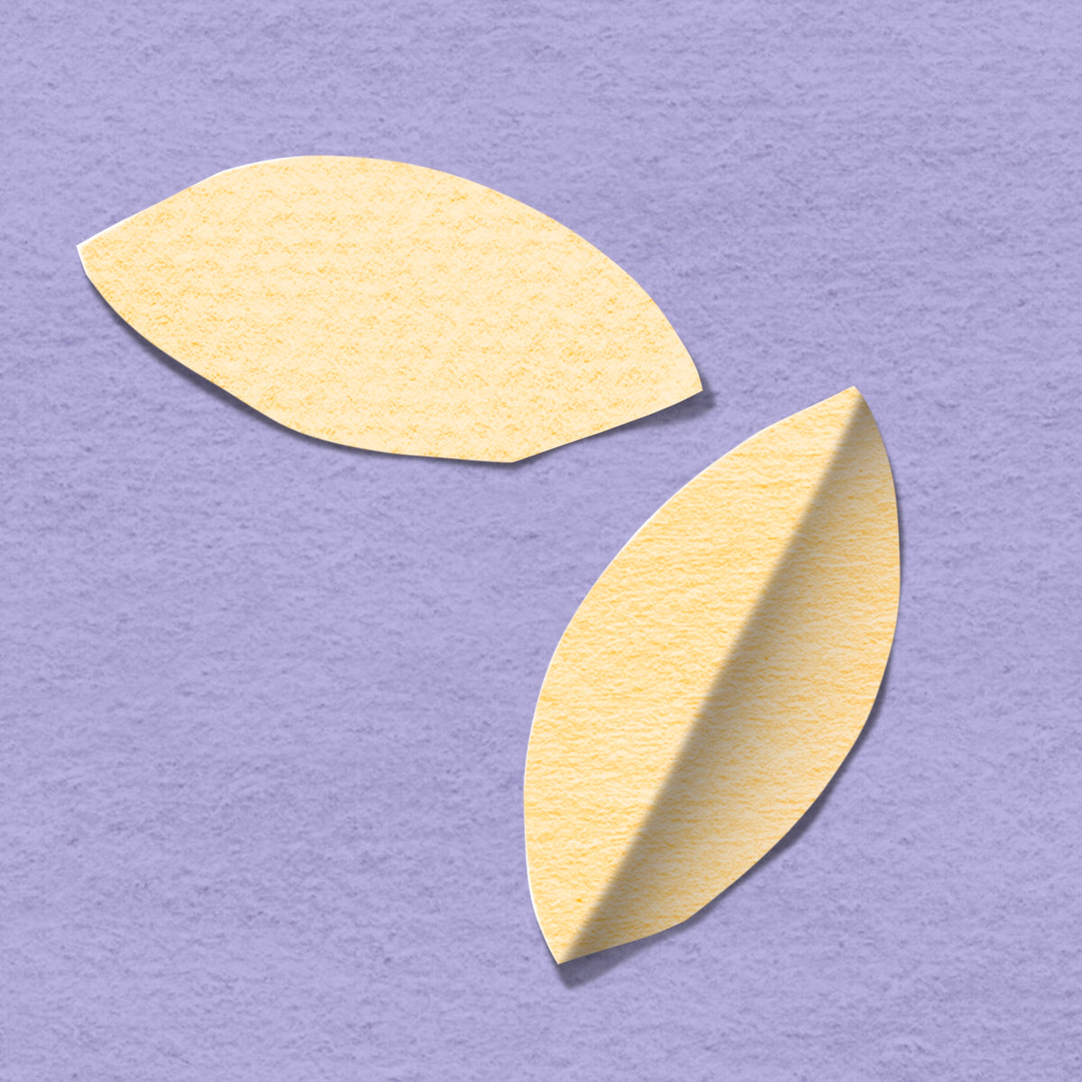 how to draw botanicals easy for beginners