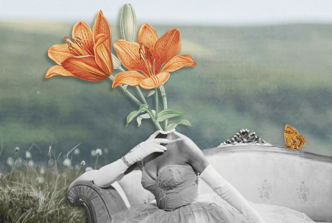 procreate collage workshop