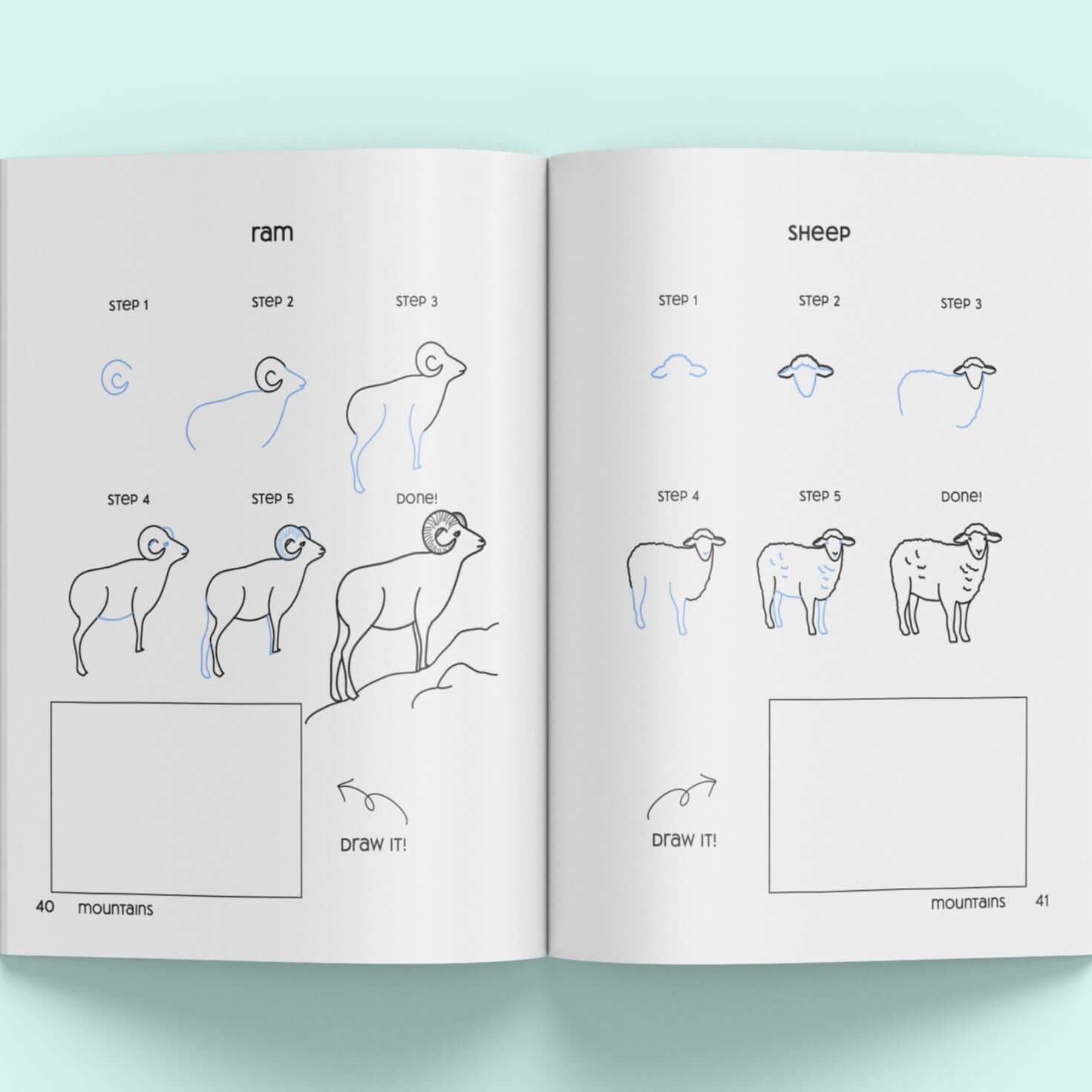 How to draw a sheep with step-by-step instructions