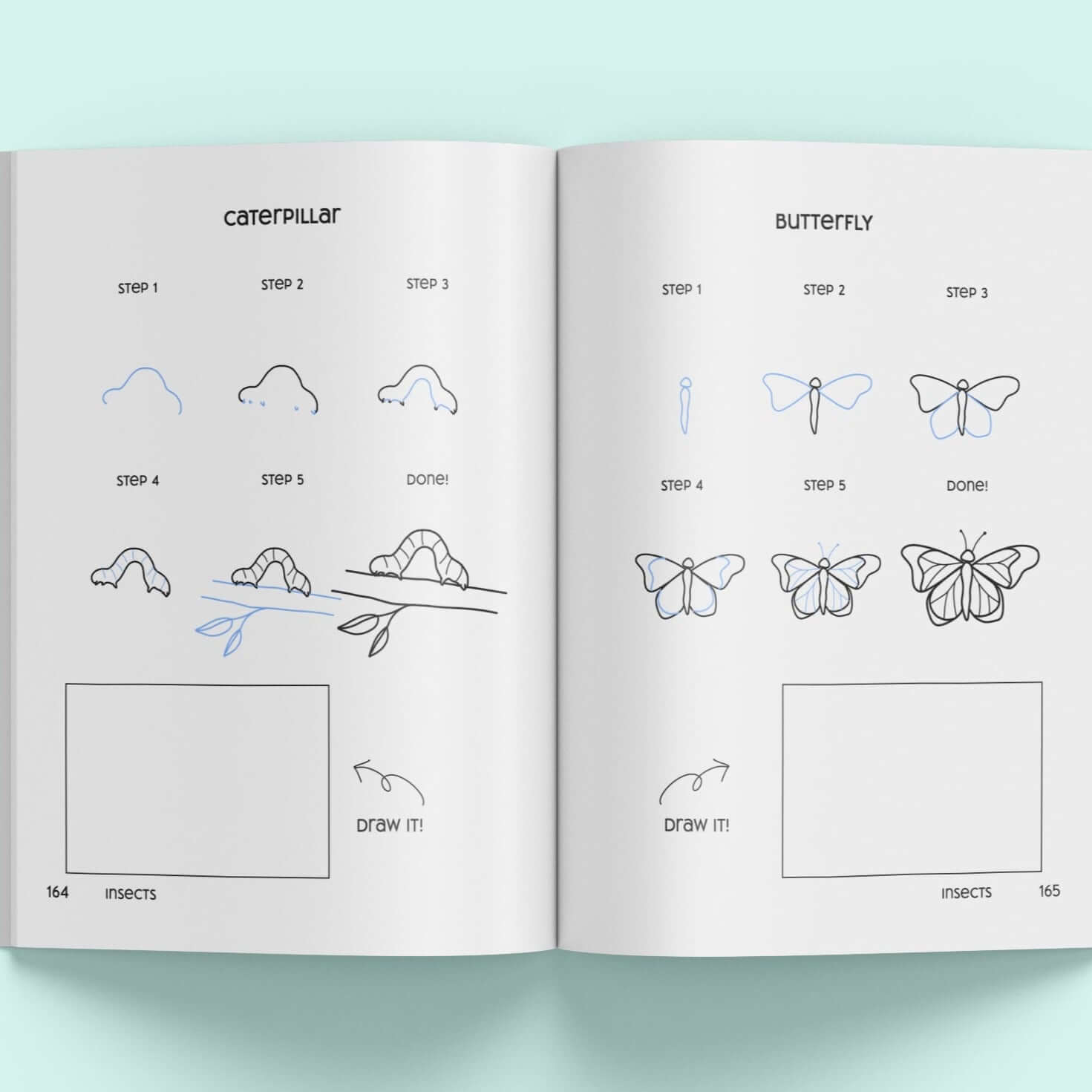 How to draw a line art butterfly