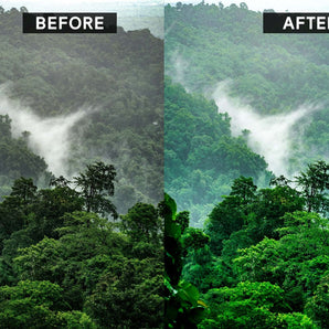 Lightroom Presets - Rainforest - A Tropical Misty Theme - The Pigeon Letters