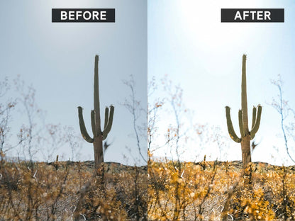 Lightroom preset before and after