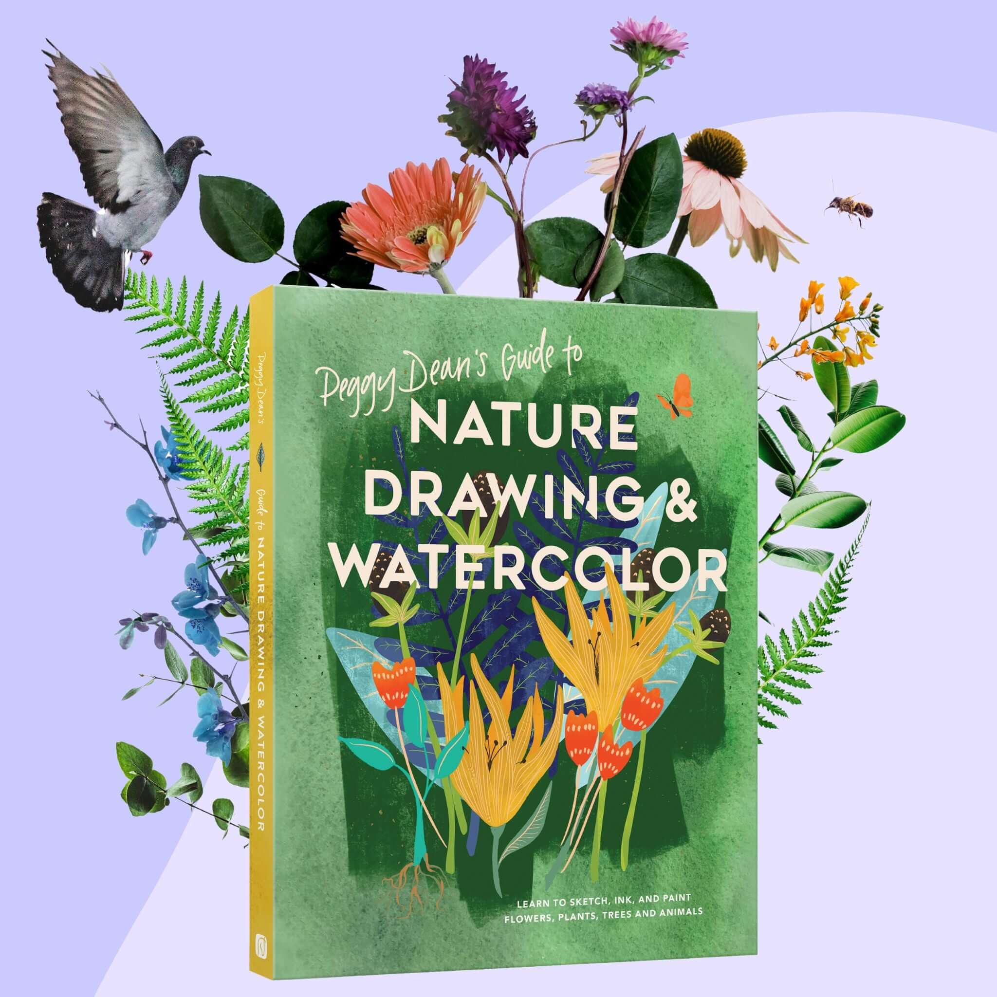 Nature Drawing and Watercolor book cover