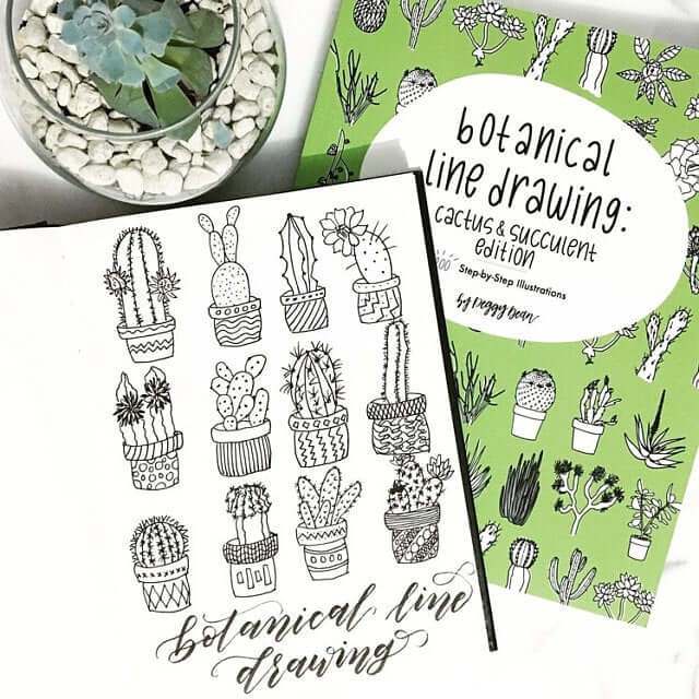 botanical line drawing cactus & succulent edition Botanical Line Drawing: Cactus & Succulent Edition: 200 Step-by-Step Illustrations by Peggy Dean