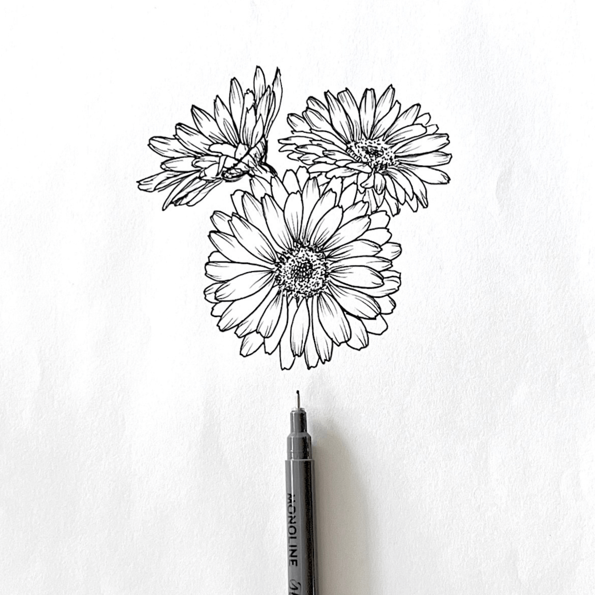 Sunflower line art drawing