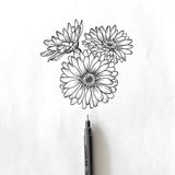 Sunflower line art drawing