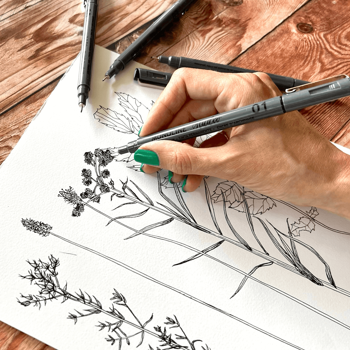 how to draw botanicals easy for beginners