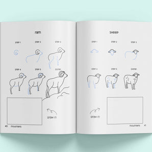 How to draw a sheep with step-by-step instructions